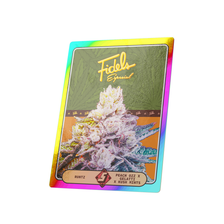 Fidels Runtz – Peach Orz × Gelatti Kush Kintz